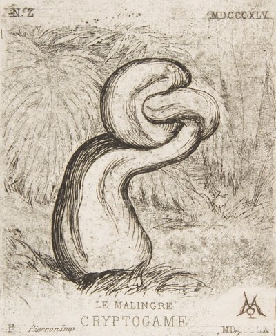 ちっぽけなクリプトガミア、1860年。 作： Charles Meryon