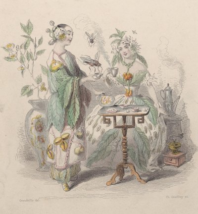 紅茶とコーヒー、Les Fleurs Animées、1847年より。 作： Charles Michel Geoffroy