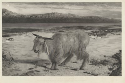 スケープゴート 作： Charles Mottram after William Holman Hunt