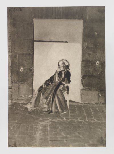 未知の着席女性の肖像 作： Charles Nègre