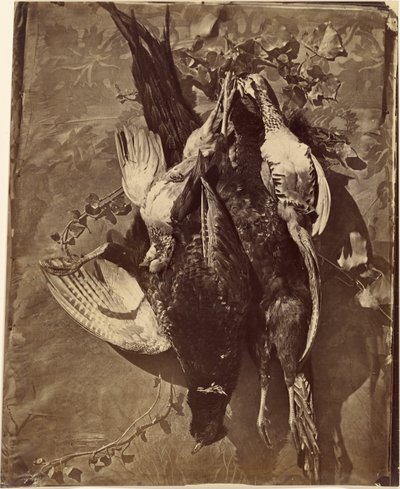 [羽の生えた狩猟鳥の静物]。 作： Charles Nègre