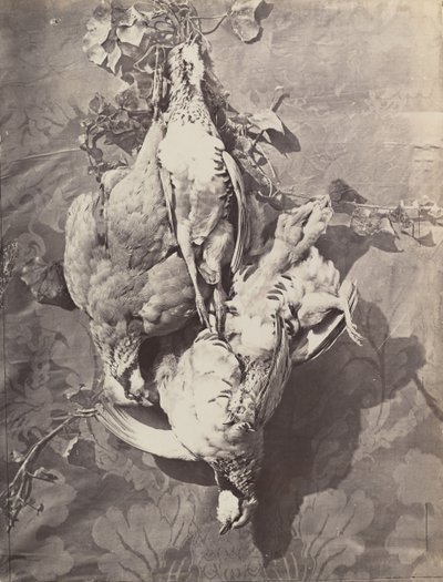 [狩猟鳥のある静物]、1859。 作： Charles Nègre