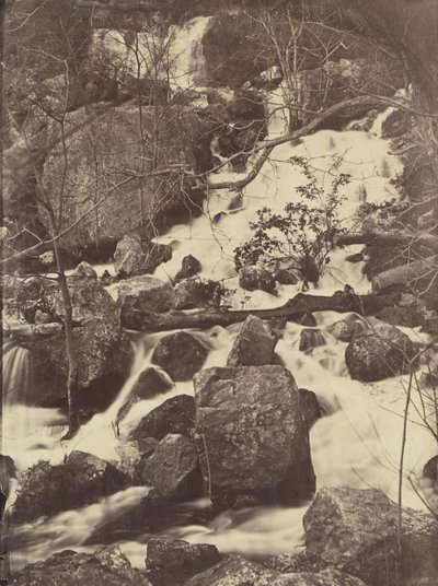 [木と滝]、1860-65。 作： Charles Nègre