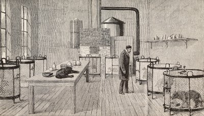 ルイ・パスツール（1822年～1895年、フランスの化学者・生物学者）の研究室内の檻の中の犬（フランス、パリ）。 作： Charles Paul (after) Renouard