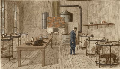 ルイパスツールの実験室内の檻の中の犬 作： Charles Paul Renouard
