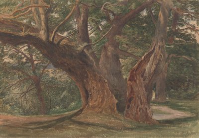 Trees in a Landscape   1444587   ja       japanese Successfully Translated  Original: Beaulieu, Hampshire Translat: Beaulieu, Hampshire 1444441 ja japanese Successfully Translated Original: Design for an Urn Translat: Design for an Urn 1445486 ja japanese  作： Charles Reginald Aston
