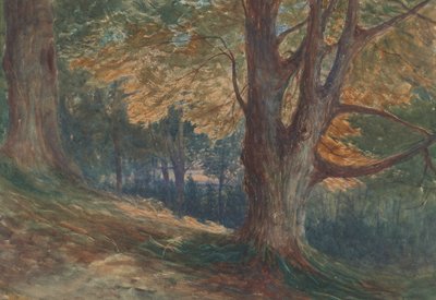 樹木が茂った風景の中の丘の上の木々 作： Charles Reginald Aston