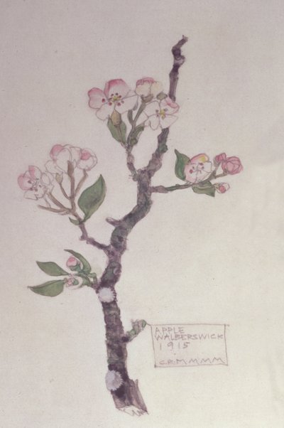 アップル、ウォルバーズウィック、1915年（鉛筆とトイレ） 作： Charles Rennie Mackintosh