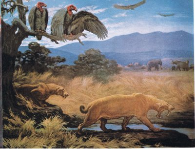 セイバー・トゥース・キャット 作： Charles Robert Knight