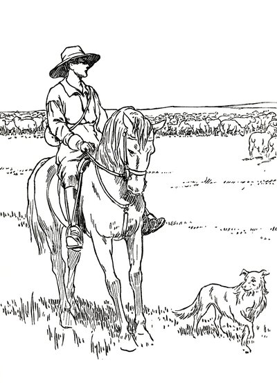 オーストラリアの羊ステーション、1912 作： Charles Robinson
