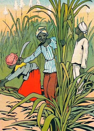 サトウキビの間で働いて、1912 作： Charles Robinson