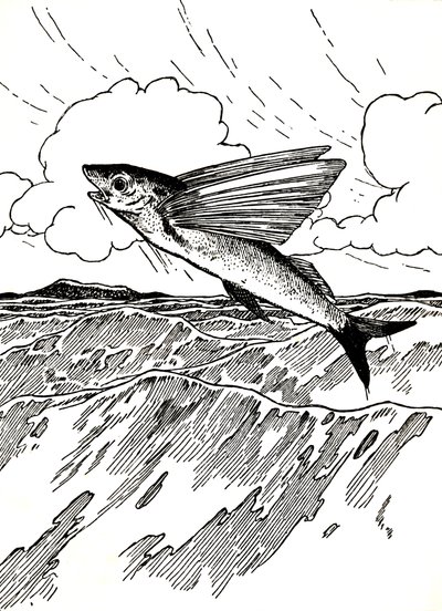 飛魚、1912 作： Charles Robinson