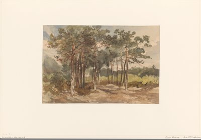 Driebergen 近くの森の木々 のグループ 作： Charles Rochussen