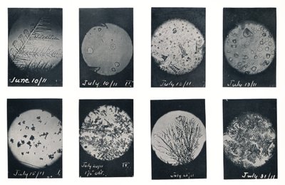 「クレバスの氷の結晶」、1911 年 6 月から 7 月、1913 年 作： Charles S Wright