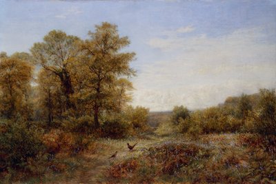  作： Charles Thomas Burt