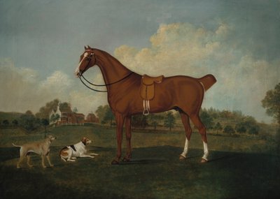 1779年を超える大邸宅のある風景に2匹の猟犬がいるベイハンター 作： Charles Towne