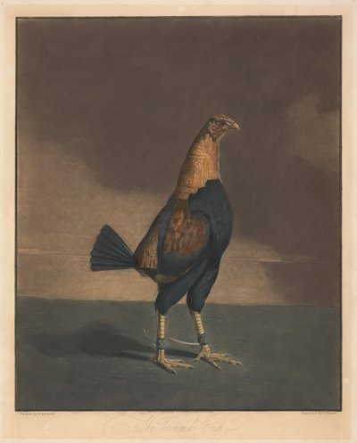 闘鶏［ペア］： 2. 手入れの行き届いた雄鶏 作： Charles Turner