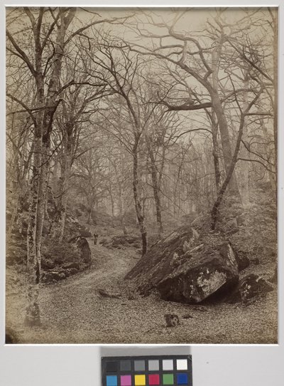 フォンテーヌブロー、1870年頃（アルブメンプリント） 作： Charles Victor Famin