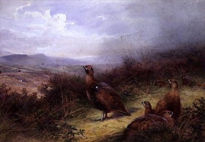 ハイランドのライチョウ 作： Charles Whymper