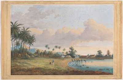 カーネーション Java に直面 作： Charles William Meredith van de Velde