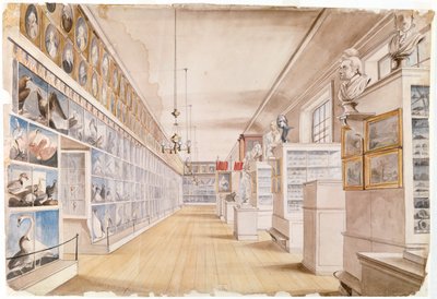 長い部屋、ピールズ博物館の前の部屋の内部、1822年（紙の上のグラファイトの上にトイレ） 作： Charles Willson Peale