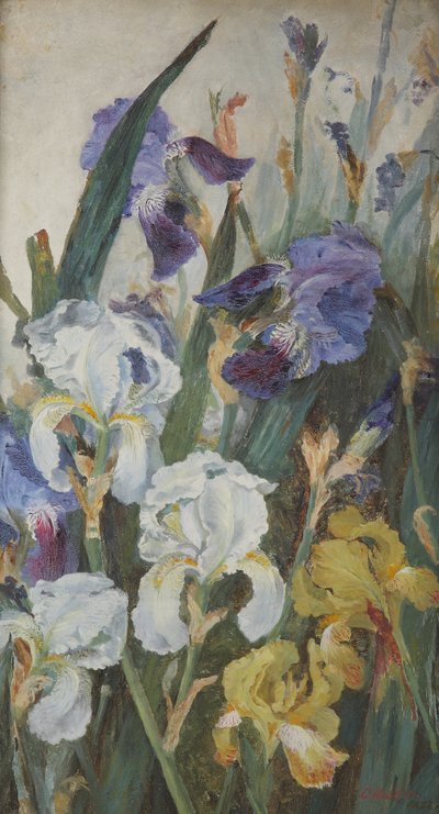 アイリス、1882 作： Charlotte Hodder