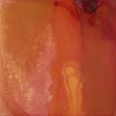 チーズフィッシュ、1997（ジェッソボードの油と釉薬） 作： Charlotte Johnstone