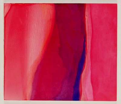 サリフィッシュ、2000（ジェッソの油） 作： Charlotte Johnstone