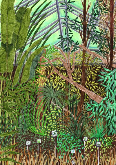植物園、2017年（筆ペン） 作： Charlotte Orr