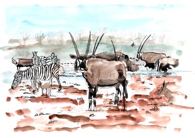 Safari、2018年（インクと水彩） 作： Charlotte Orr