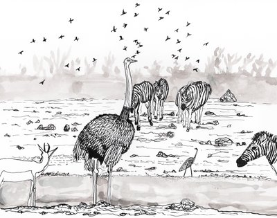 Safari 2、2018年（インクと水彩） 作： Charlotte Orr