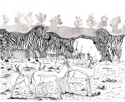 Safari 3、2018年（インクと水彩） 作： Charlotte Orr