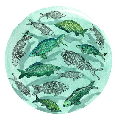 小さな魚の大きな池、2018年（ペンとインク、水彩とデジタル） 作： Charlotte Orr