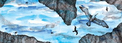 かもめの物語、2020年（水彩とペン） 作： Charlotte Orr