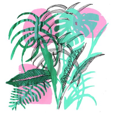 熱帯植物、2018年（スクリーンプリント） 作： Charlotte Orr