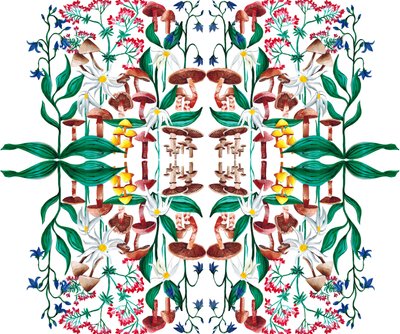 野生の植物、2015 アクリル 作： Charlotte Orr