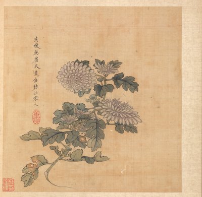 古代の巨匠の後の絵画: 菊 作： Chen Hongshou
