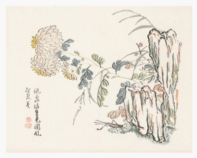 菊、からし菜園 マニュアル 作： Cheng An (after)