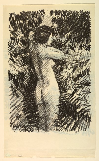 ヌード 作： Childe Hassam