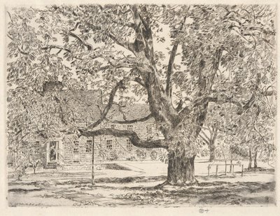 大きなトチノキの木、イーストハンプトン 作： Childe Hassam