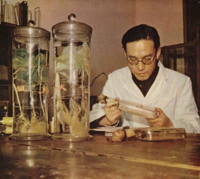 1950年代、長春研究所の中国人農民、中華人民共和国 作： Chinese Photographer
