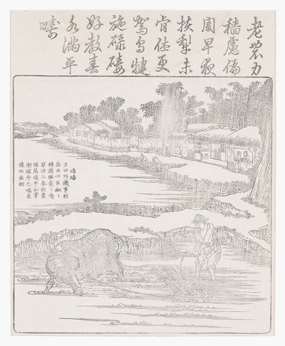 水田を悲惨にする、18世紀 作： Chinese School