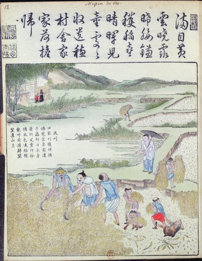 収穫、中国の米文化（カラー木版画） 作： Chinese School