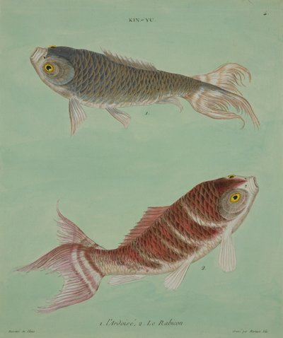 ラルドワーズ、ルラビコン、フランソワニコラスマルティネ（1731-p.1796）による彫刻（印刷） 作： Chinese School