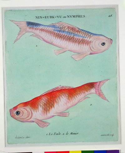 ル・フェード、ル・ミニエ、フランソワ・ニコラス・マルティネ（1731-p.1796）によって刻印（印刷） 作： Chinese School