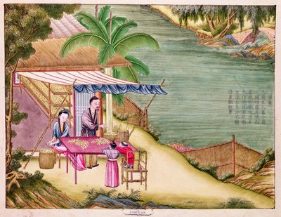 Ms 202 f.6絹産業に関する本からの繭の選別（紙のトイレ） 作： Chinese School