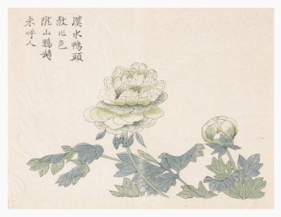 マスタード・シード・ガーデン 作： Chinese School