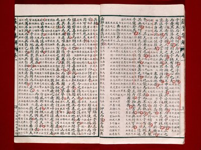荘子の詩集のページ（紙にインク 作： Chinese School