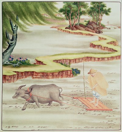 水田で働く農民 作： Chinese School