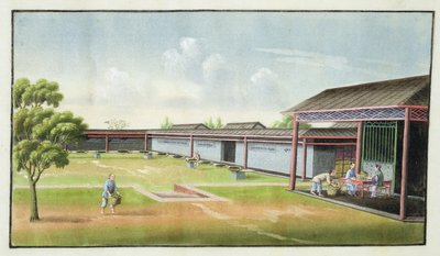 小さな葉を乾燥のために選別（紙にトイレ） 作： Chinese School